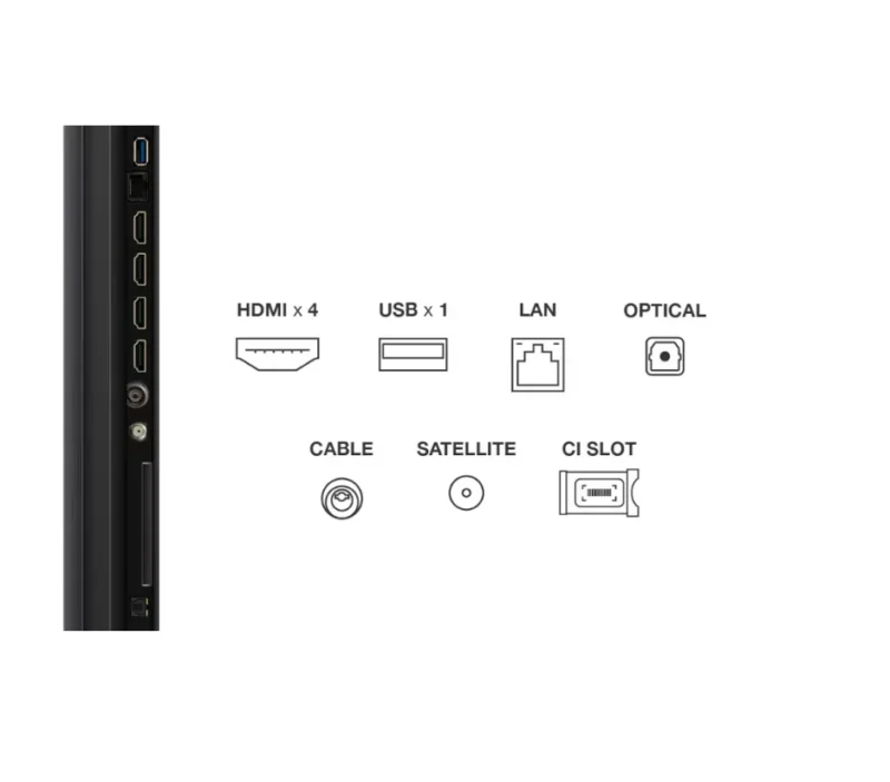 Televizor TCL QD-MiniLED 50Q6C, 126 cm, Smart Google TV, 4K Ultra HD, 144Hz, Onkyo