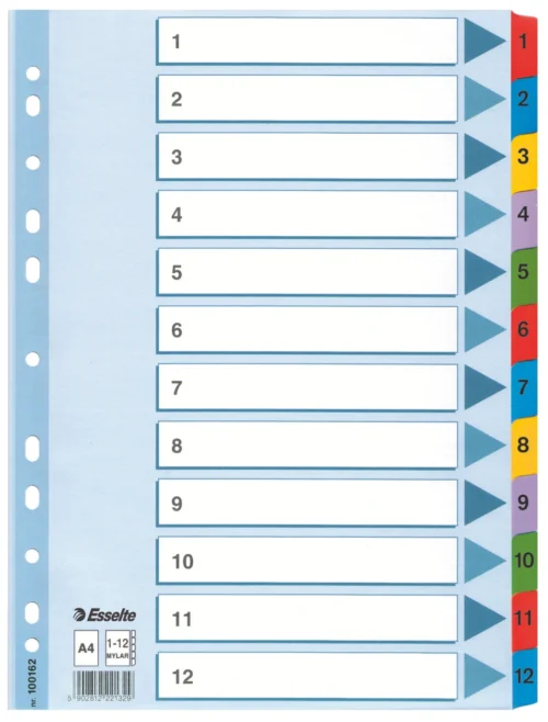 SEPARATOARE INDEX CARTON 1-12 MYLAR ESSELTE