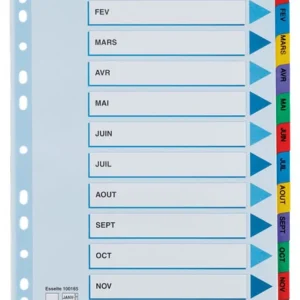 SEPARATOARE INDEX CARTON IAN-DEC MYLAR ESSELTE