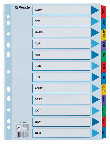 SEPARATOARE INDEX CARTON IAN-DEC MYLAR ESSELTE