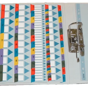 SEPARATOARE INDEX CARTON IAN-DEC MYLAR ESSELTE