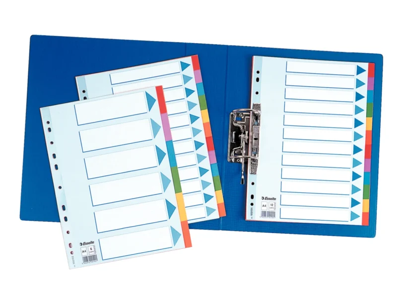 SEPARATOARE INDEX CARTON 5 COLI STANDARD ESSELTE SEPARATOARE INDEX CARTON 5 COLI STANDARD ESSELTE