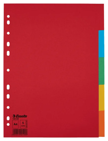 SEPARATOARE INDEX CARTON 5 CULORI ECONOMY ESSELTE