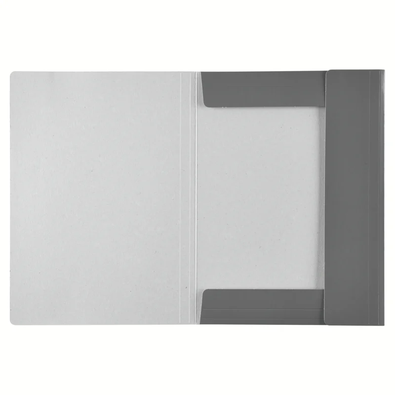 MAPA CARTON CU ELASTIC ALBASTRU DESCHIS ECONOMY ESSELTE