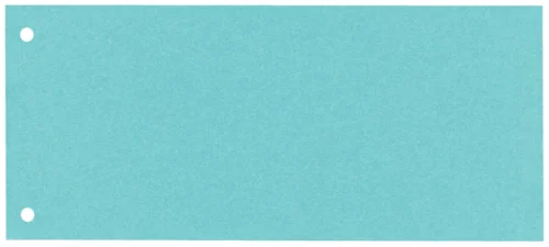 SEPARATOARE CARTON 105*240 MM ALBASTRE ESSELTE SEPARATOARE CARTON 105*240 MM ALBASTRE ESSELTE