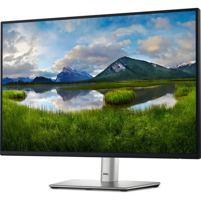 Monitor Commercial Dell P2425E, 24.07", 1920 x 1200 pixeli, Black-Silver, 3 ani Garantie