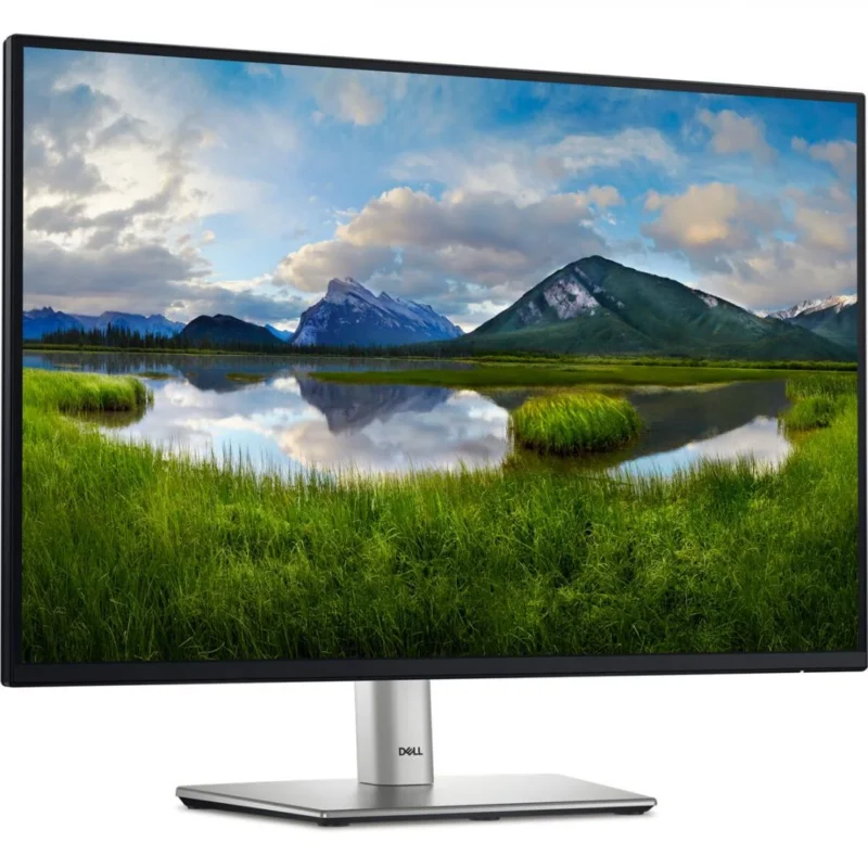 Monitor Commercial Dell P2425E, 24.07", 1920 x 1200 pixeli, Black-Silver, 3 ani Garantie