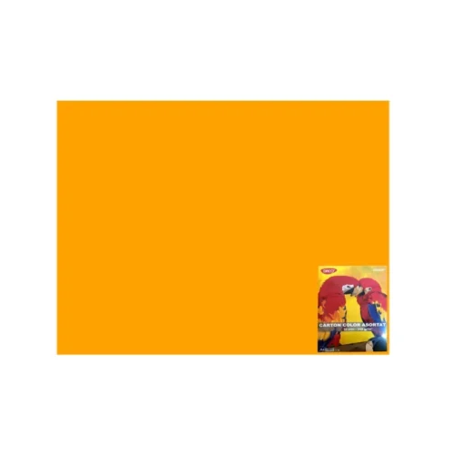 CARTON COLOR CN240P PORT. 46X64 10COLI DACO 240G/MP