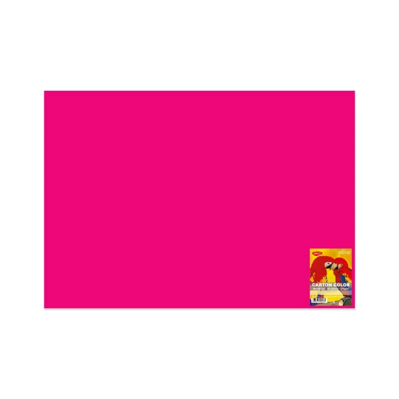 CARTON COLOR CN271F 270G/MP 70X100 10 COLI DACO