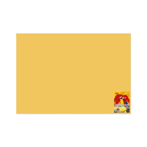 CARTON COLOR CN271G 270G/MP 70X100 10 COLI DACO