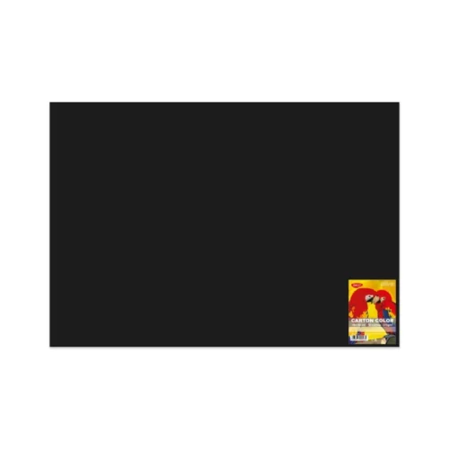 CARTON COLOR CN271N 270G/MP 70X100 10 COLI DACO