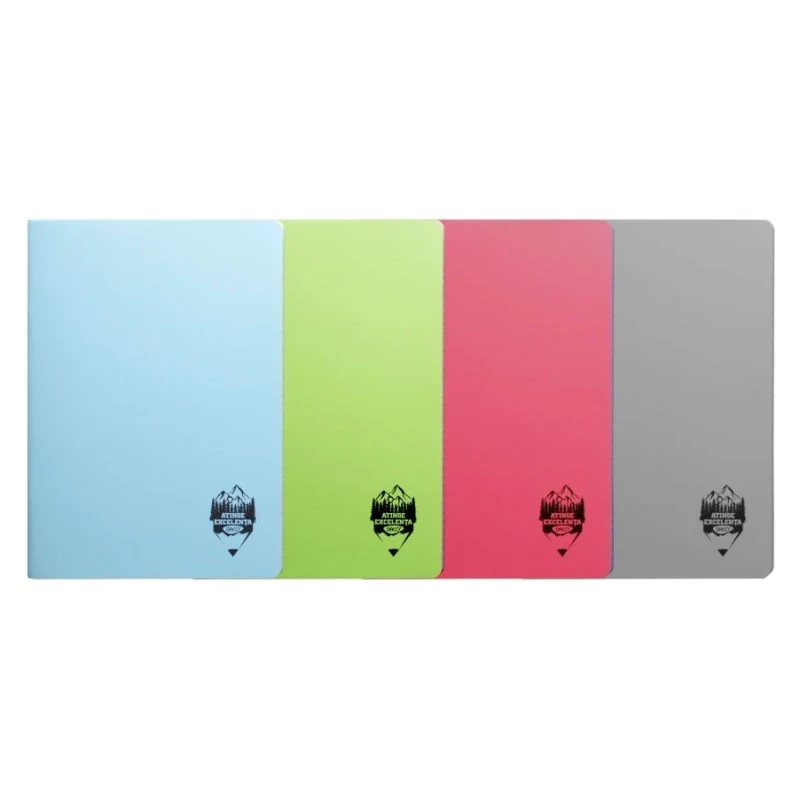 CAIET A4 100 FILE COPERTA PLASTIC AR