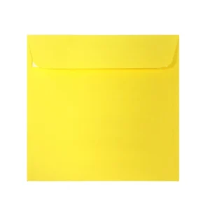 PLIC 16X16 CM PATRAT COLOR SILICONIC DACO PC1616G