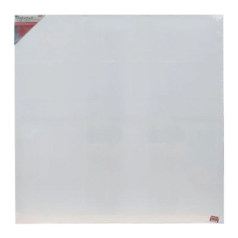 PANZA PICTURA PE SASIU 100*100 CM DACO PZ100100