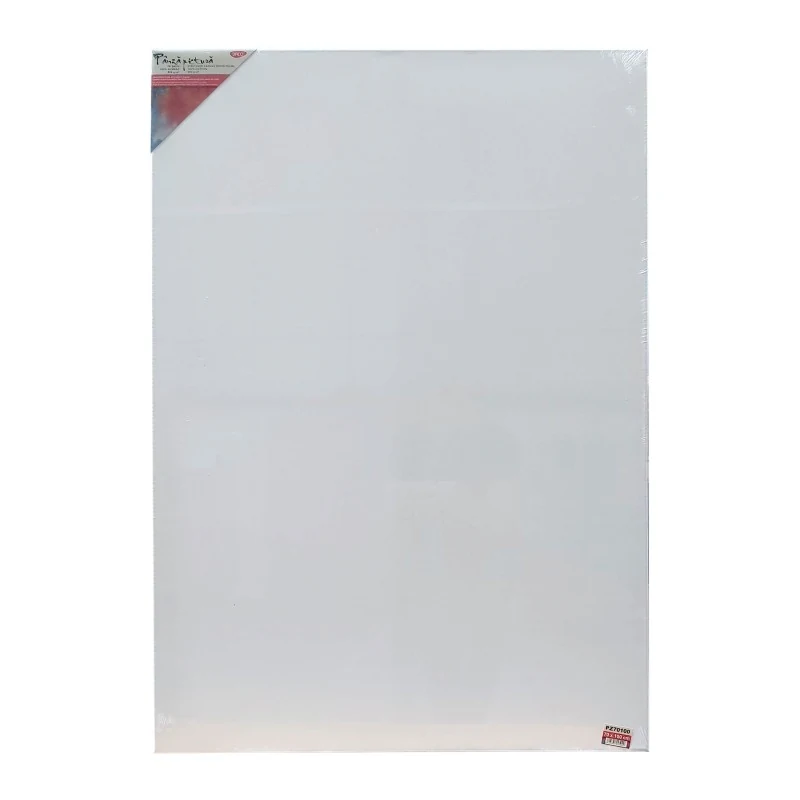 PANZA PICTURA PE SASIU 70*100 CM DACO PZ70100