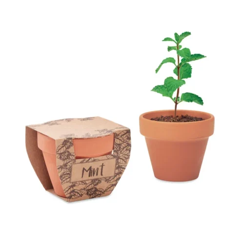 Ghiveci mic de teracotă din lut, inclusiv semințe de mentă Mint Pot