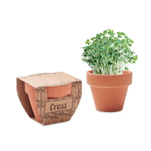 Ghiveci mic de teracotă din lut cu semințe de creson Cress Pot