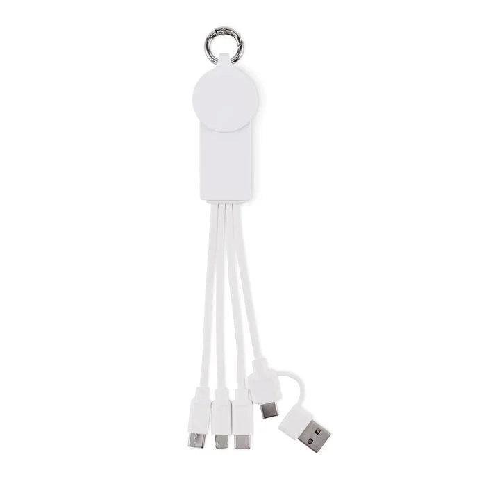 Breloc cu cablu de încărcare cu intrare: 2-in-1 tip-C & tip-A Icab