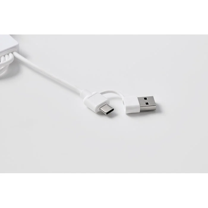 Breloc cu cablu de încărcare cu intrare: 2-in-1 tip-C & tip-A Icab