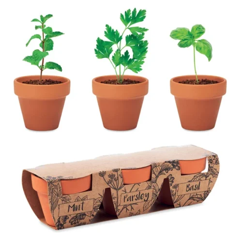 Set 3 vase de lut teracotă Flowerpot