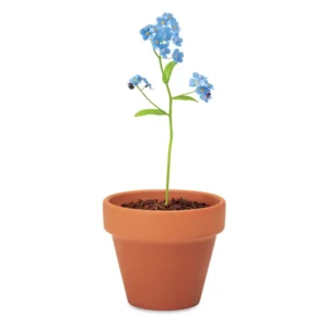 Vas teracota "nu ma uita" Forget Me Not