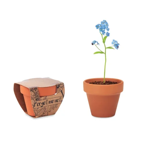 Vas teracota "nu ma uita" Forget Me Not