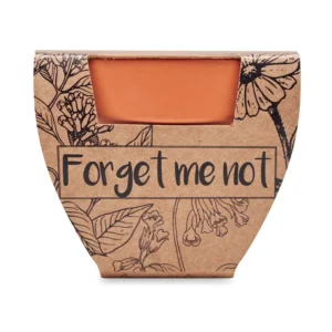 Vas teracota "nu ma uita" Forget Me Not