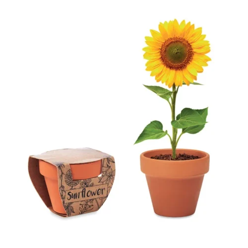 Vas "floarea soarelui" Sunflower