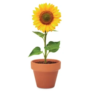 Vas "floarea soarelui" Sunflower