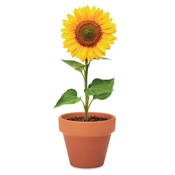 Vas "floarea soarelui" Sunflower