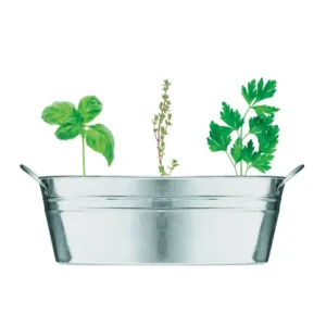 Ghiveci din zinc cu semințe Mix Seeds