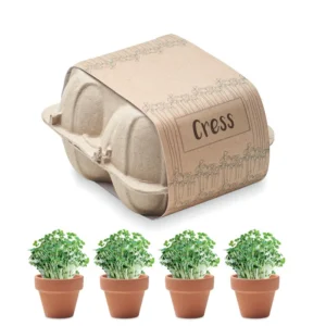 Semințe in carton de ouă Cress