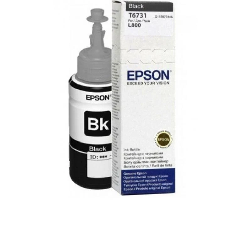 Cartus cerneala Epson T6731 Cartus Epson T6731, Black