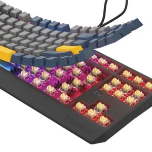 Tastatura Mecanica Gaming Genesis Thor 230 TKL, RGB, USB, Albastru Tastatura Mecanica Gaming Genesis Thor 230 TKL, RGB, USB, Albastru