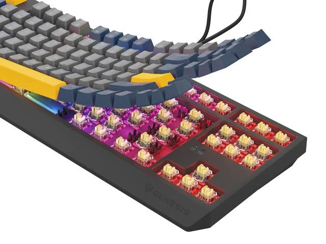 Tastatura Mecanica Gaming Genesis Thor 230 TKL, RGB, USB, Albastru Tastatura Mecanica Gaming Genesis Thor 230 TKL, RGB, USB, Albastru