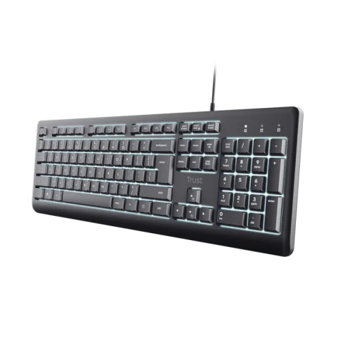 Tastatura Trust Primo, USB, gri